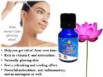 Pink Lotus Essential Oil